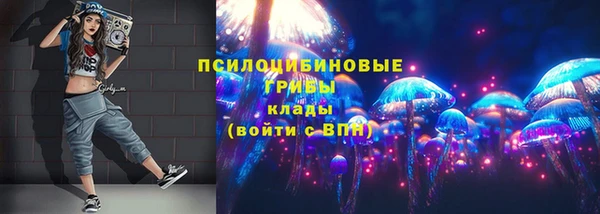 мдпв Балабаново