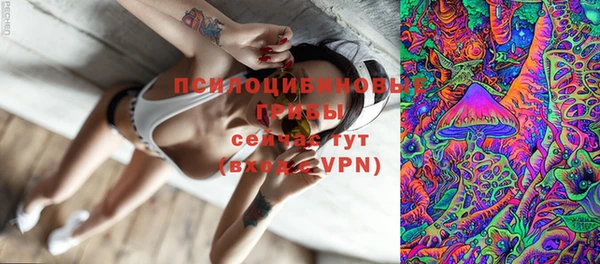 мдпв Балабаново
